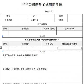 新员工月度考核表